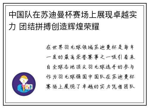 中国队在苏迪曼杯赛场上展现卓越实力 团结拼搏创造辉煌荣耀